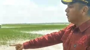 Tanggul Jebol, Aribun Sesalkan Kinerja BBWS dan Dinas Terkait