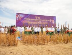 Panen Kedelai di Lampung Utara Jadi Simbol Kolaborasi Pemerintah dan TNI Wujudkan Kedaulatan Pangan Nasional